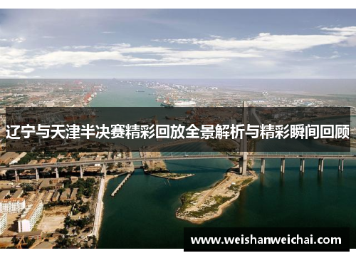 辽宁与天津半决赛精彩回放全景解析与精彩瞬间回顾
