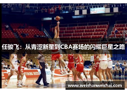任骏飞：从青涩新星到CBA赛场的闪耀巨星之路