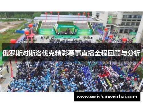 俄罗斯对斯洛伐克精彩赛事直播全程回顾与分析